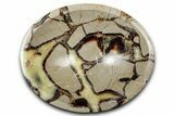 Polished Septarian Dish - Madagascar #337219-1